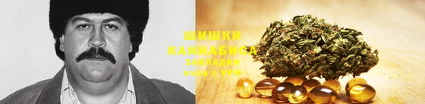 стаф Покачи