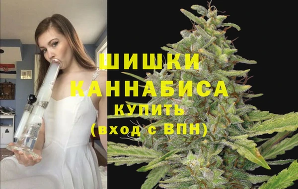 стаф Покачи