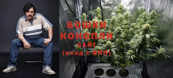 стаф Покачи