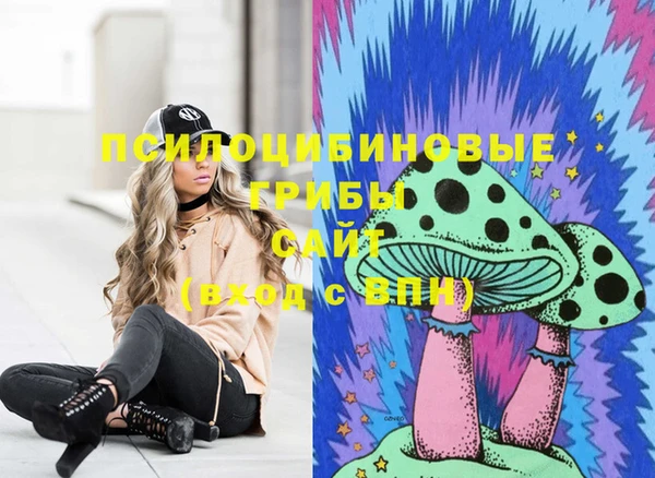 стаф Покачи