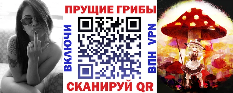 Купить закладки  Зверево  Псилоцибиновые грибы GOLDEN TEACHER 